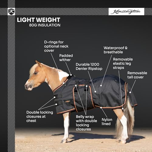 Kensington Mini Horse Turnout Blanket with Belly Band - (80g Fill) Lightweight - 1200D Ripstop - Waterproof, Breathable - Winter Protection for Miniatures 80G 54" (Navy)