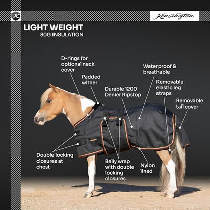 Kensington Mini Horse Turnout Blanket with Belly Band - (80g Fill) Lightweight - 1200D Ripstop - Waterproof, Breathable - Winter Protection for Miniatures 80G 54" (Navy)