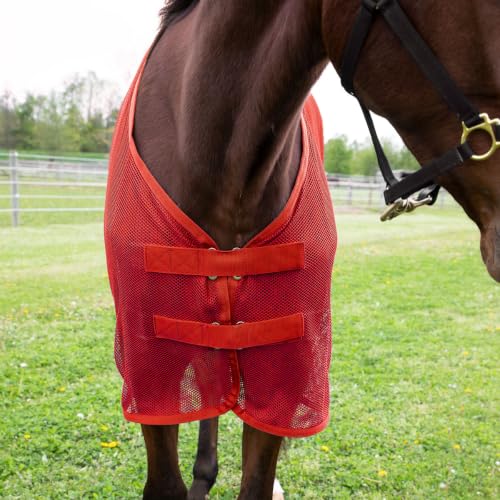 Country Pride Lightweight Fly Sheet Scrim, Blue, Large 78-80" - color: Blue, size: Large 78 - 80"