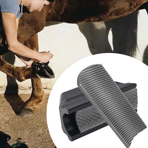 Farrier Rasp File Hoof Trimming Tool, with Coarse and Fine Teeth
