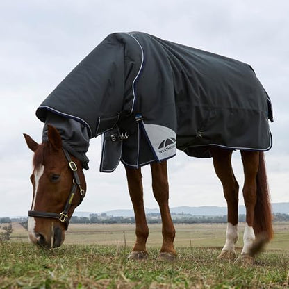 WeatherBeeta ComFiTec Ultra Turnout Detach-A-Neck 220g, Charcoal, 81" - color: Charcoal, size: 81"