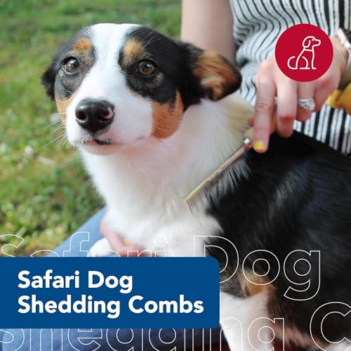 Coastal Pet Safari Dog Shedding Combs - Dog Shedding Brush for Dogs with Short and Long Hair - Different Sized Teeth for Undercoat Rake - 7" x 1.5" - size: 7" x 1.5" (Pack of 1)