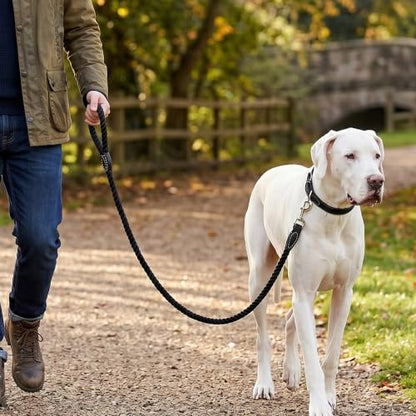 Mile High Life Dog Leash Braided Cotton Rope with Leather-Reinforced Ends - color: Black, size: 48 Inch-1/2"