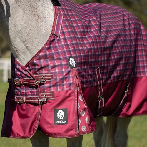 Equinavia Arktis Reg. Neck Lightweight Turnout Blanket 100g - Cranberry Red - 75 in - color: Cranberry Red, size: 75 in