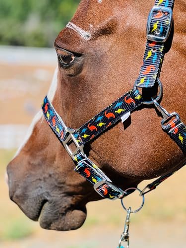 Star Point Horsemanship Mini-Pony Dinosaur Halter Nylon Horse Training Halter Stiff Cord Adjustable Long Lasting Quick Release Buckle Used by Famous Trainers