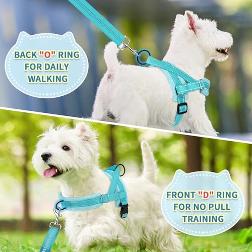 SlowTon No Pull Small Dog Harness and Leash Set with Front Clip | Soft Padded, Neck & Chest Adjustable, Lightweight, Anti-Twist, Puppy Vest Harness Pet Lead Combo for Small Medium Dog, TL XS - color: Teal, size: X-Small