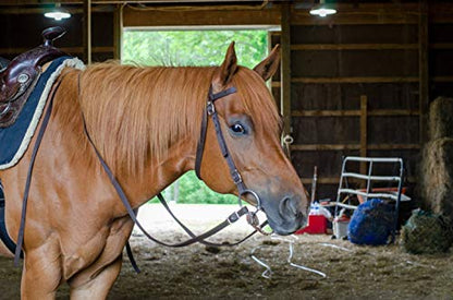 Tahoe Tack Plain Double Layer Nylon Headstall with Reins - color: Purple, size: Full