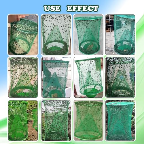 8 Pack Ranch Fly Trap, 2026 New Hanging Fly Catcher, The Most Effective Trap Ever Made with Pots, Cage Catcher for Indoor and Outdoor, Family Farms, Park, Restaurants