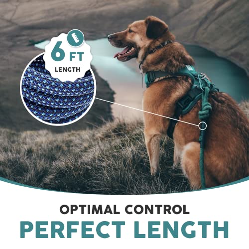 Embark Dog Leash - Heavy Duty Tough Nylon Training Lead for All Dog Breeds | Mountain Climbing Rope with Heavy Duty Locking Carabiner - Strong & Durable Nylon Pet Leash - 6 FT - Navy Blue - color: Navy Blue