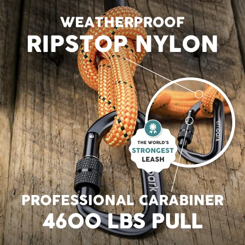 Embark Dog Leash - Heavy Duty Tough Nylon Training Lead for All Dog Breeds | Mountain Climbing Rope with Heavy Duty Locking Carabiner - Strong & Durable Nylon Pet Leash - 6 FT - Orange - color: Orange