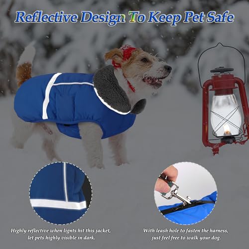 Dogcheer Warm Dog Coat, Waterproof Dog Jacket Christmas Puppy Winter Coat with Buckle, Reflective Adjustable Pet Snow Jacket Turtleneck Fleece Sweater for Small Medium Large Dogs - Blue, S - color: Blue, size: Small