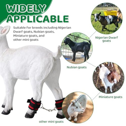 Goat Milking Hobbles Binding Straps,for Milking,Shearing 2 Pack,RED | Nylon Goat Binding Tool for Goat Mini Goat Nigerian Dwarfs Nubian Goats (Red)