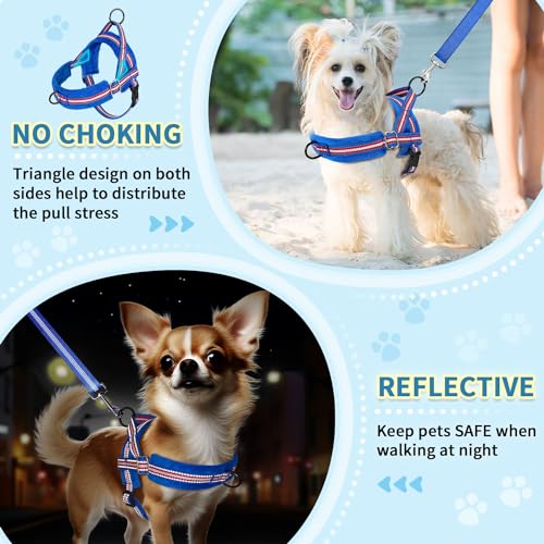 SlowTon No Pull Small Dog Harness and Leash Set with Front Clip | Soft Padded, Neck & Chest Adjustable, Lightweight, Anti-Twist, Puppy Vest Harness Pet Lead Combo for Small Medium Dog, DBL XS - color: Dark Blue, size: X-Small