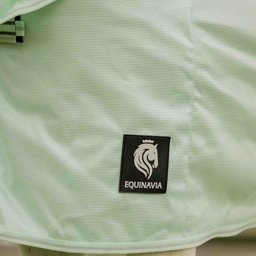 Equinavia Brisk Mesh Horse Fly Sheet with Neck Coverage, UV Protection - color: Misty Jade, size: 81 in
