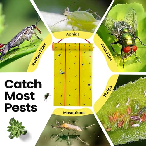 Qualirey 15 Pcs Giant Flypaper Fly Traps, 295ft Sticky Yellow