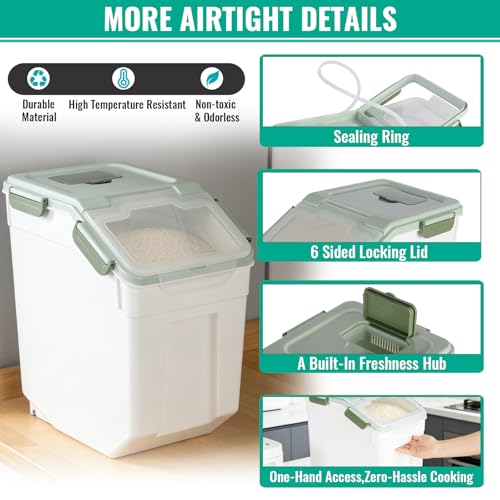 2 Pack Rice Container 25 lbs Large Bulk Flour Sugar Storage Holdhouse Plastic Grain Cereal Dry Goods Bin with Spoon and Measuring Cup for Kitchen Pantry Organization - Green - color: Green, 2 Pack