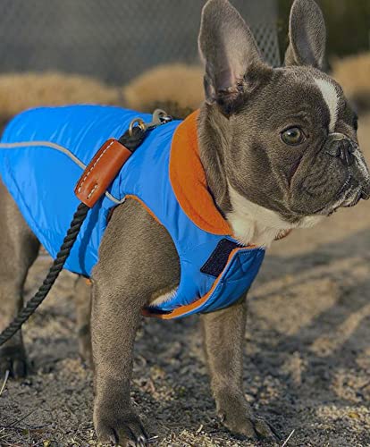 Gooby Sports Vest Dog Jacket, Blue, Medium - color: Blue, size: Medium chest (~16.5")
