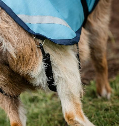 Horseware® Goat Coat (100g Light) - color: Delphinium Blue/Navy, size: S