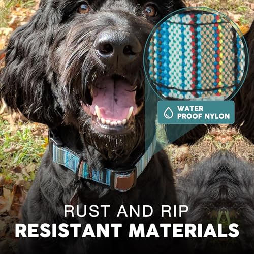 Embark Dog Collar - Adjustable Heavy Duty Outdoor Pet Training Collar - color: Boho, size: Large