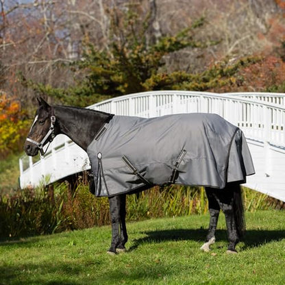 Equinavia Arktis Reg. Neck Lightweight Turnout Blanket 100g - Carbon Grey - 81 in - color: Carbon Grey, size: 81 in