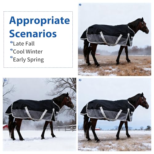 Winter Blanket for Mini Horse, Pony, Donkey, Llama, Alpaca, Small Equine- 220g Filled Medium Weight Winter Horse Blanket - 1200D Water Resistant (45'') - size: 45''