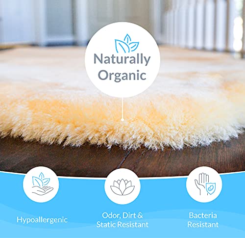 Sheepskin Ranch Sofsheep Medical Sheepskin Heel Protector, Pressure Relief for Bed Sores, Ulcers, Sensitive Skin, Hospital Grade, Chrome Free, Washable, Hypoallergenic, Adjustable, Real Wool, Single - style: Single