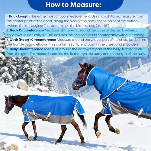 1200D Turnout Horse Blanket with Hood, Medium Weight, Blue/Grey, 72 in - color: Blue/Gray, size: 72 IN