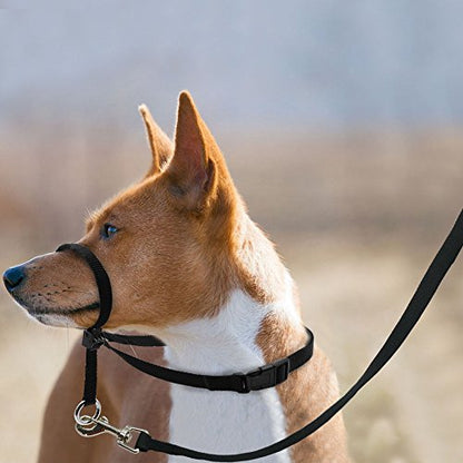 BARKELSS Gentle Dog Head Collar, Adjustable Padded Dog Halter | Dog Halter to Stop Pulling, Soft and Safety Control on Walks, Includes 1 Leash, Training Guide for Breeds - size: M