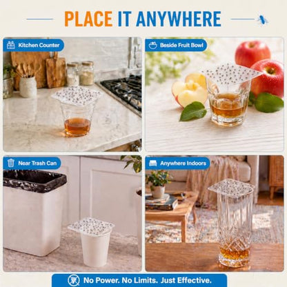 40 Pack Fruit Fly Traps for Indoors Compatible with LFSYS Gnat Traps
