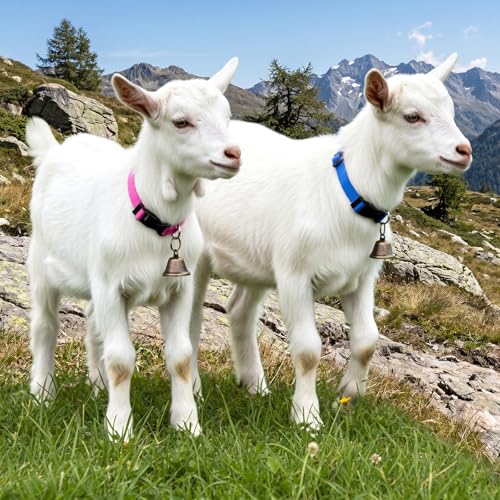 4-Pack Goat Collars with Bells, Adjustable Nylon Collar Sheep Collars Set Anti-Lost Loud Cow Bells Accessories for Small Farm Animals Pet Cows Goats