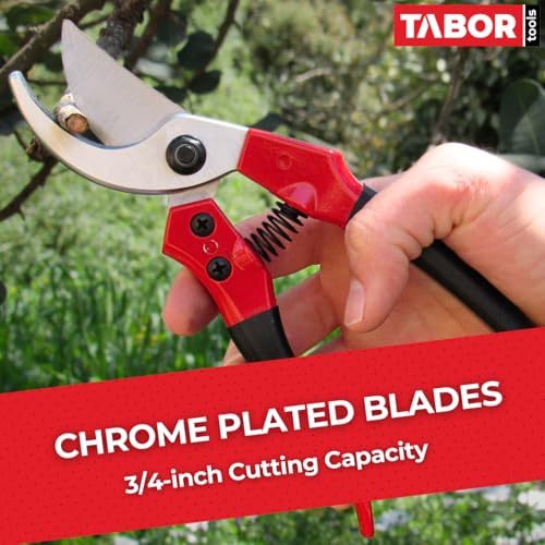 TABOR TOOLS S821A Bypass Pruning Shears for Small to Medium Hands, Chrome Plated Blades with 3/4 Inch Cut Capacity, Professional Hand Pruner, Garden Secateurs & Clippers with Safety Lock - style: Bypass