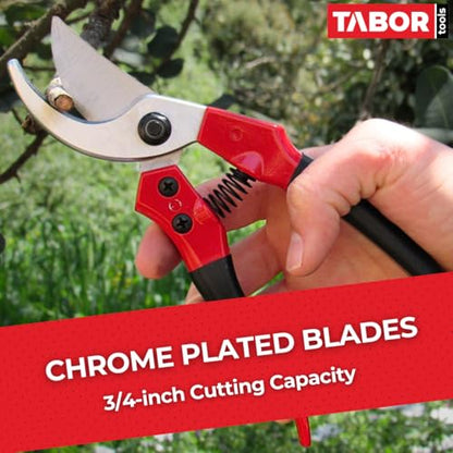 TABOR TOOLS S821A Bypass Pruning Shears for Small to Medium Hands, Chrome Plated Blades with 3/4 Inch Cut Capacity, Professional Hand Pruner, Garden Secateurs & Clippers with Safety Lock - style: Bypass