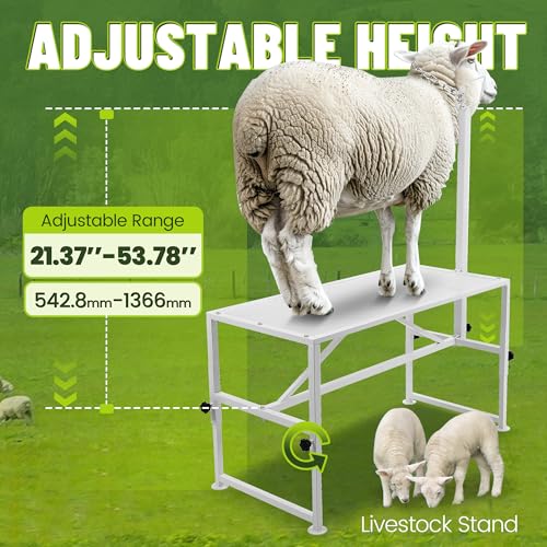 Kojem Sheep Livestock Stand 51x23, Goat Milking Stand, Trimming Stand for