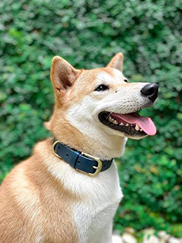 Tuff Pupper Heavy Duty Waterproof Dog Collar for Small, Medium & Large Dogs - color: Midnight Blue