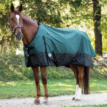 Country Pride Cascade Rainsheet for Horses, Waterproof 600D Turnout, Adjustable Double Buckle Front, Bias Surcingle, Removable Elastic Leg Straps, Shoulder Gussets, Tail Cover, Hunter Green/Black (74) - size: 74