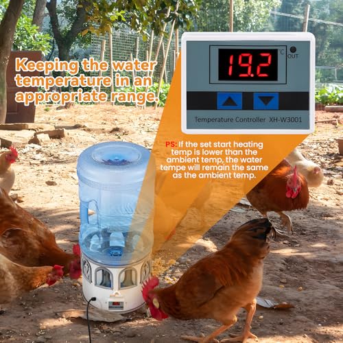 Heated Chicken Waterer 5 Gallon Adjustable Temperature for Winter | Heated Chicken Waterer with 8 Drinking Ports, Temperature Controlling for Ducks, Geese, 9.84ft Cord Length