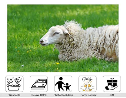 17x10ft Resting Wool Sheep Backdrop Thick Curly Fleece Fresh Green Grass Small Wild Yellow Flower Background Tapestry Party Pasture Farm Animal Home Decorations Photo Booth Props - size: 17x10ft