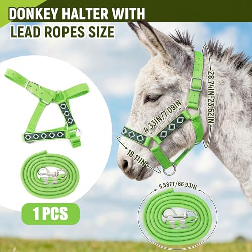 1 Set Mini Donkey Halter with Lead Rope Adjust, Bright Green - color: Bright Green