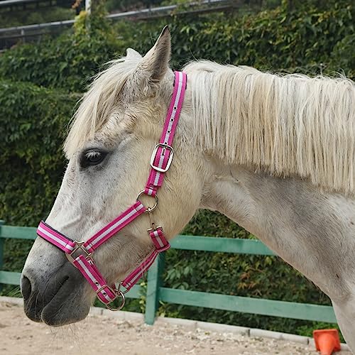 Adjustable Horse Halters - Heavy Duty Nylon Webbing & Hardware, Padded with Anti Chafing Foam-Cushioned on Crown & Nose - color: Rose Red, size: Full
