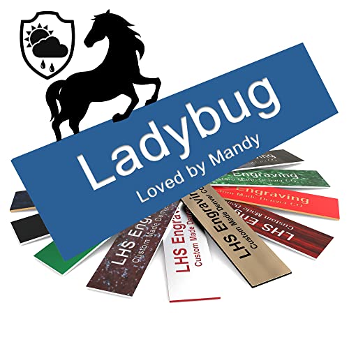 Personalized Horse Stall Name Plates, 2x10 Horse Stall Signs with Adhesive, All Weather UV Protected, Blue Plastic with White Letters - Made in USA - B9 - color: B9 - Blue/White, size: 2in x 10in (5.1cm x 25.5cm)