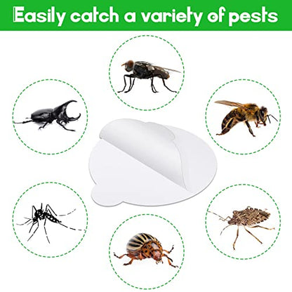 Round Insect Trap Refillable Glue Boards Sticky - size: 4.3inches