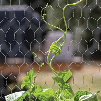 YARDGARD 2 Inch Poultry Netting, Chicken Wire Fence, 20 Gauge Galvanized Steel, Rabbit Fencing, Bird Enclosures, Garden Protection and Plant Support, 24 Inches x 150 Feet - size: 24 Inches x 150 Feet