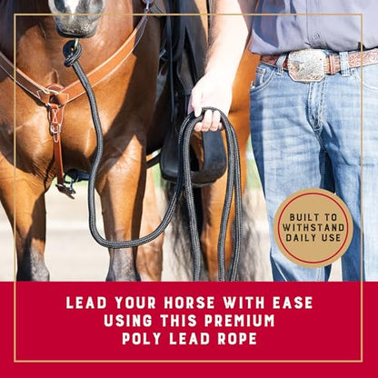 Weaver Equine 10' Performance Lead Rope, Brass-Plated Snap - color: Black