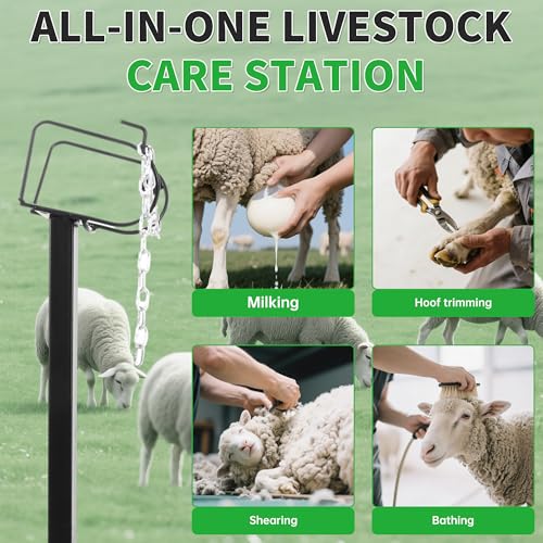 ECOTRIC 51"x23" Livestock Stand for Goats Milking, Trimming, Showering,