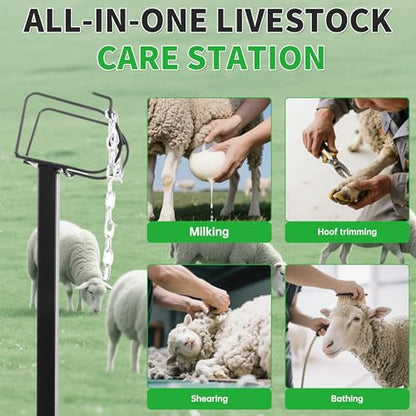 ECOTRIC 51"x23" Livestock Stand for Goats Milking, Trimming, Showering,
