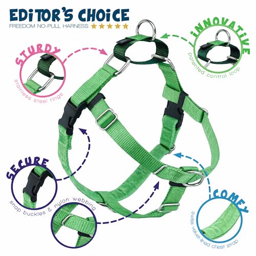 2 Hounds Design Freedom No Pull Dog Harness and Leash, 1" MD, Neon Green - color: Neon Green, size: 1" MD (Chest 24" - 28")