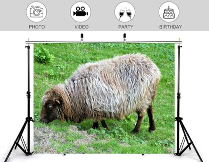 10x7ft Fluffy Wool Sheep Backdrop Curly Grey Brown Fur Fresh Green Meadow Grass Photography Background Tapestry Party Farm Animal Decorations Banner Photo Booth Props - size: 10x7ft