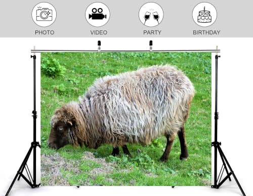 16x10ft Fluffy Wool Sheep Backdrop Curly Grey Brown Fur Fresh Green Meadow Grass Photography Background Tapestry Party Farm Animal Decorations Banner Photo Booth Props - size: 16x10ft