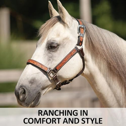 Schneiders McKenzie Padded Leather Ranch Halter for Horses | Premium Argentine Leather with Hand-Tooled Basketweave & Floral Design | Western Style & Comfort Fit