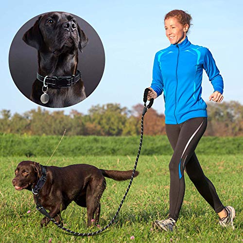 Ladoogo Reflective Dog Collar Padded with Soft Neoprene Breathable Adjustable Nylon Dog Collars for Small Medium Large Dogs (Small (Pack of 1), Black Collar+Leash) - color: Black, size: Small